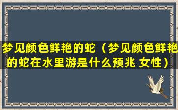 梦见颜色鲜艳的蛇（梦见颜色鲜艳的蛇在水里游是什么预兆 女性）